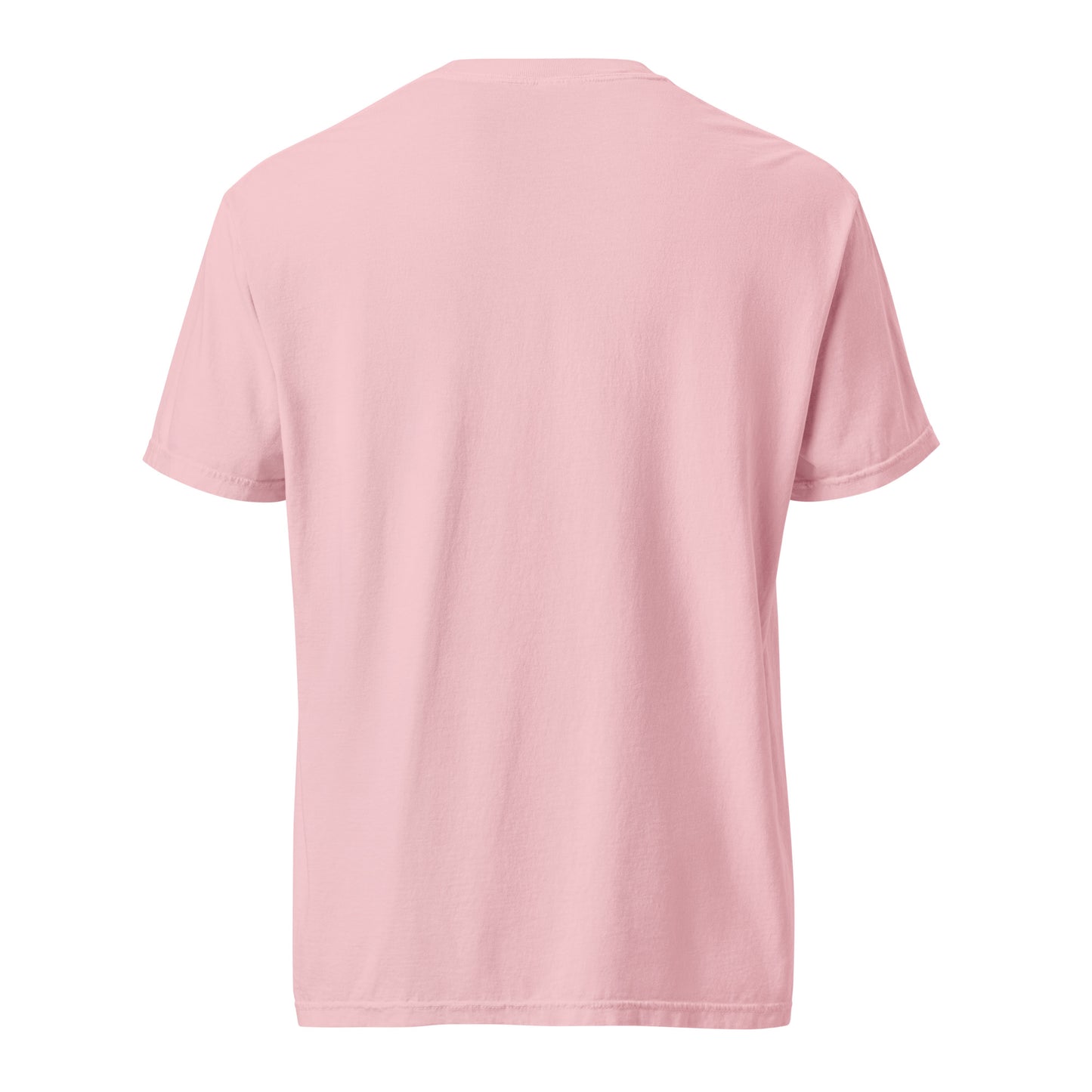 Not 51st State Mountie Unisex garment-dyed heavyweight t-shirt from Rare Plus Apparel – unique movie & pop culture inspired design.