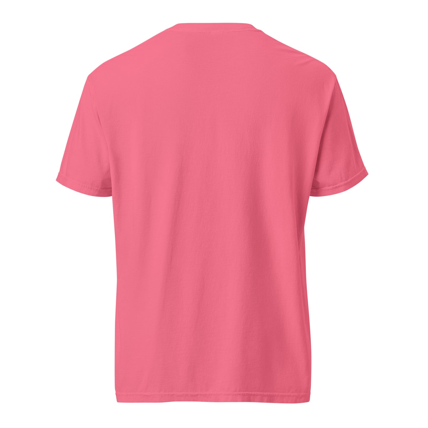 Not 51st State Mountie Unisex garment-dyed heavyweight t-shirt from Rare Plus Apparel – unique movie & pop culture inspired design.