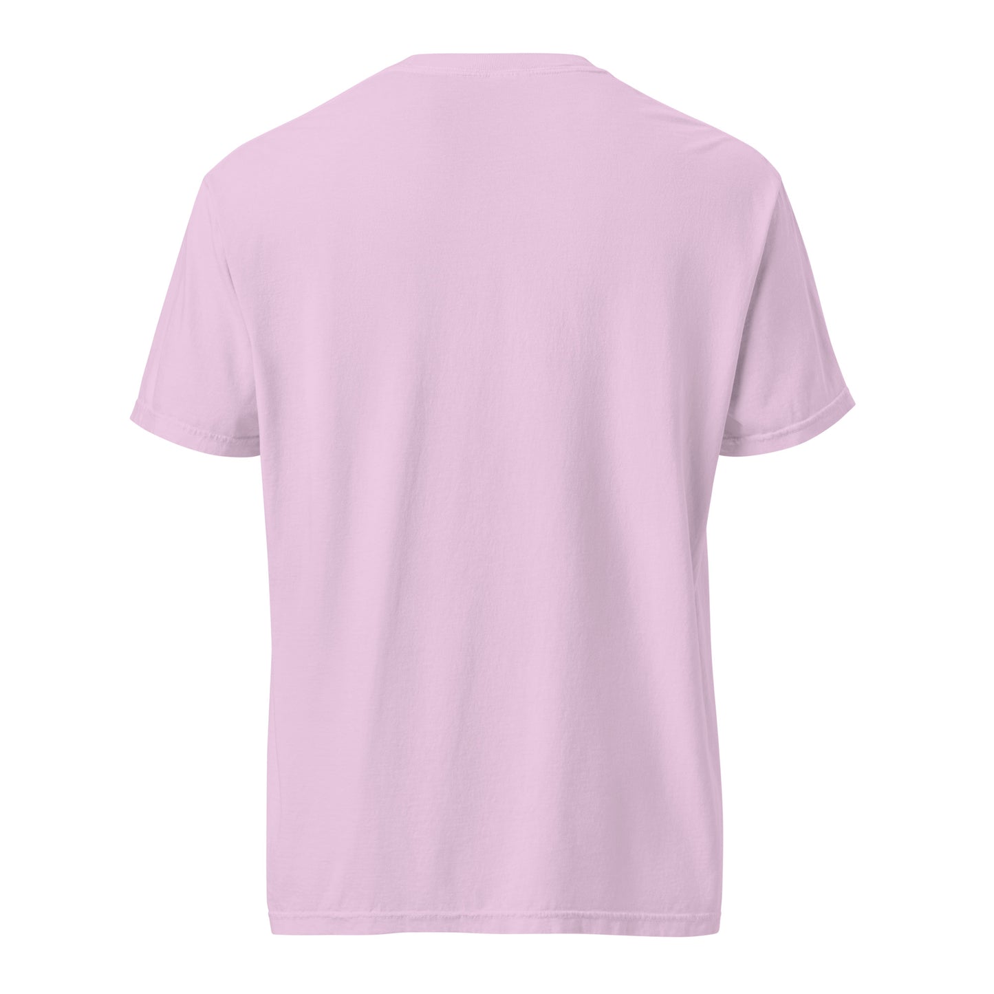 Not 51st State Mountie Unisex garment-dyed heavyweight t-shirt from Rare Plus Apparel – unique movie & pop culture inspired design.