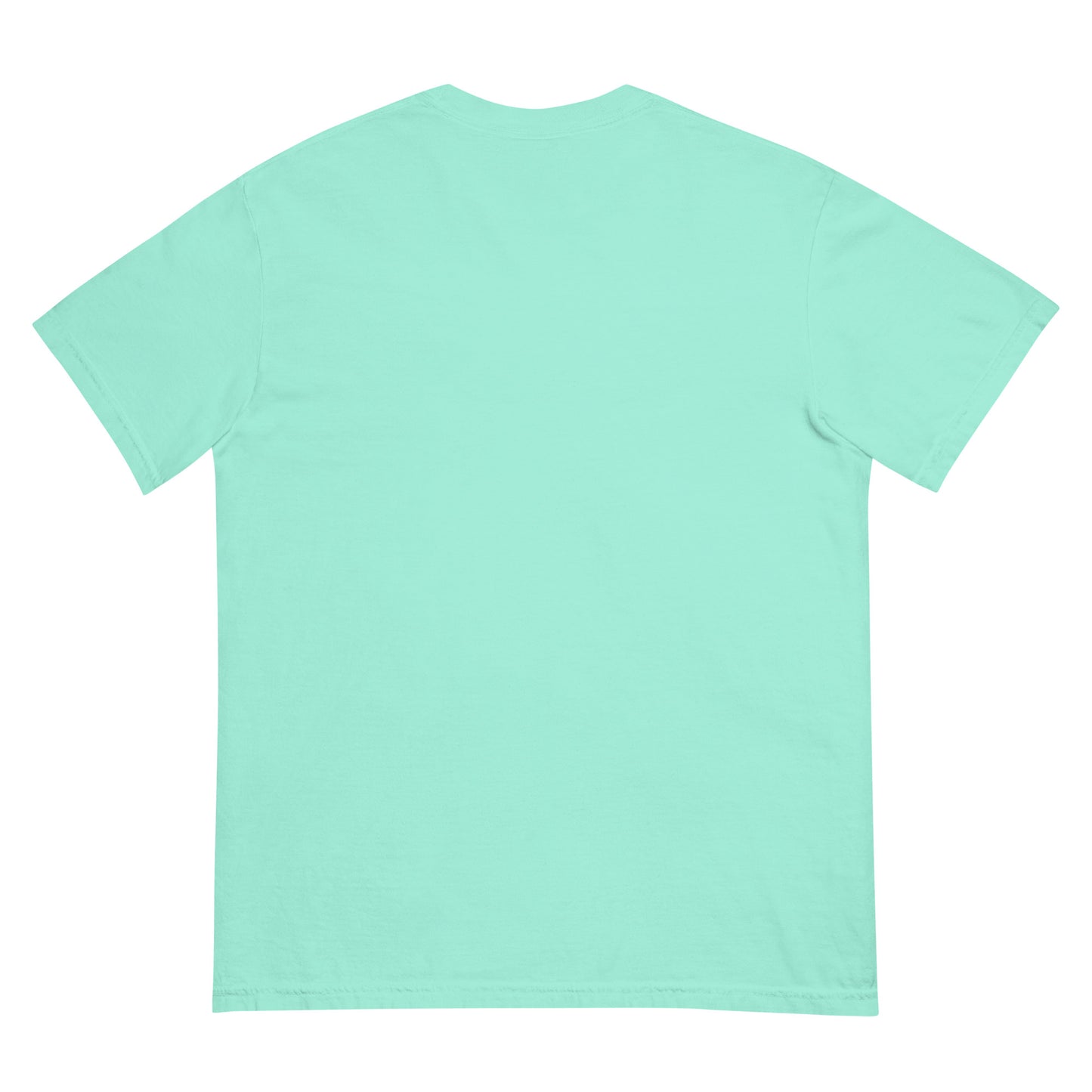 Physical Media Club Unisex garment-dyed heavyweight t-shirt  from Rare Plus Apparel – unique movie & pop culture inspired design.