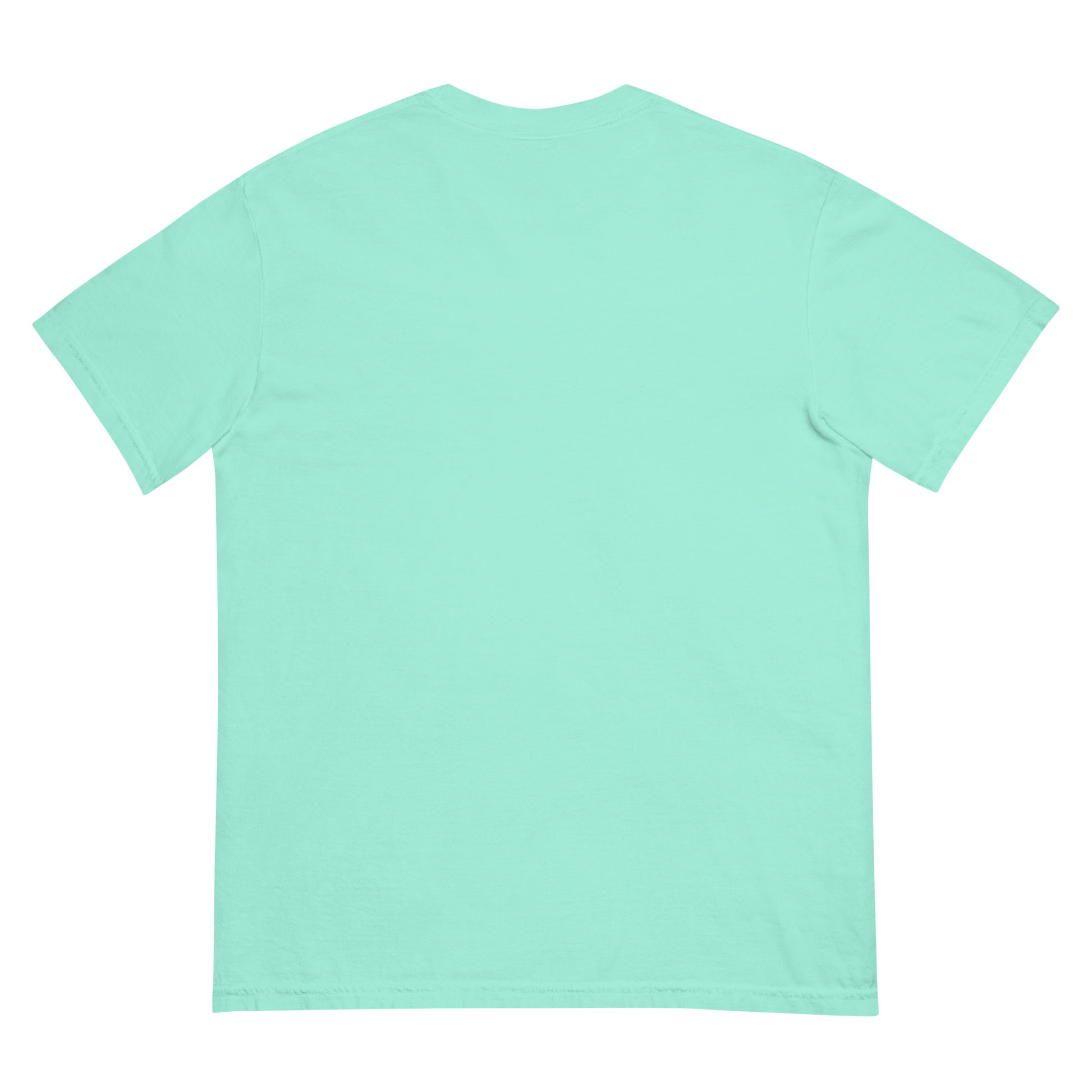 Physical Media Club Unisex garment-dyed heavyweight t-shirt  from Rare Plus Apparel – unique movie & pop culture inspired design.