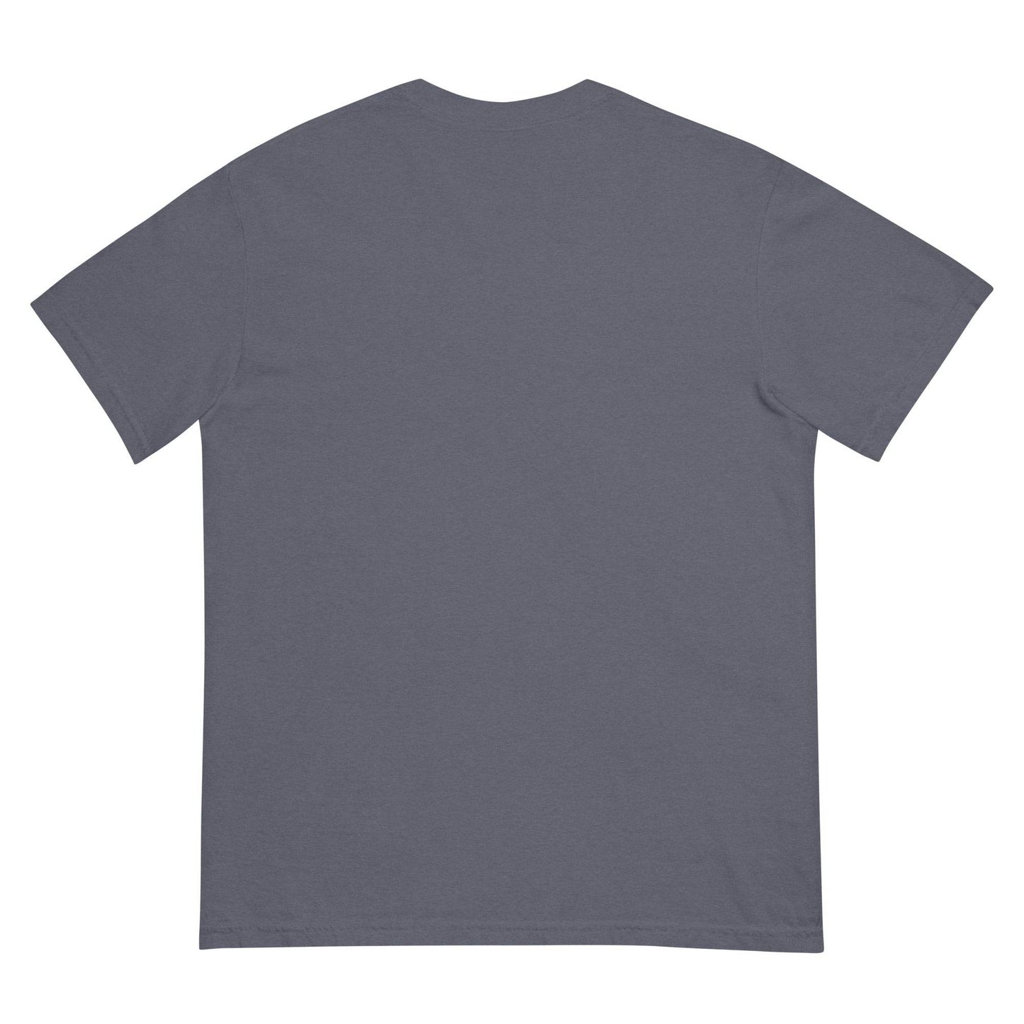 #PhysicalMedia Unisex garment-dyed heavyweight t-shirt - Rare Plus Apparel!