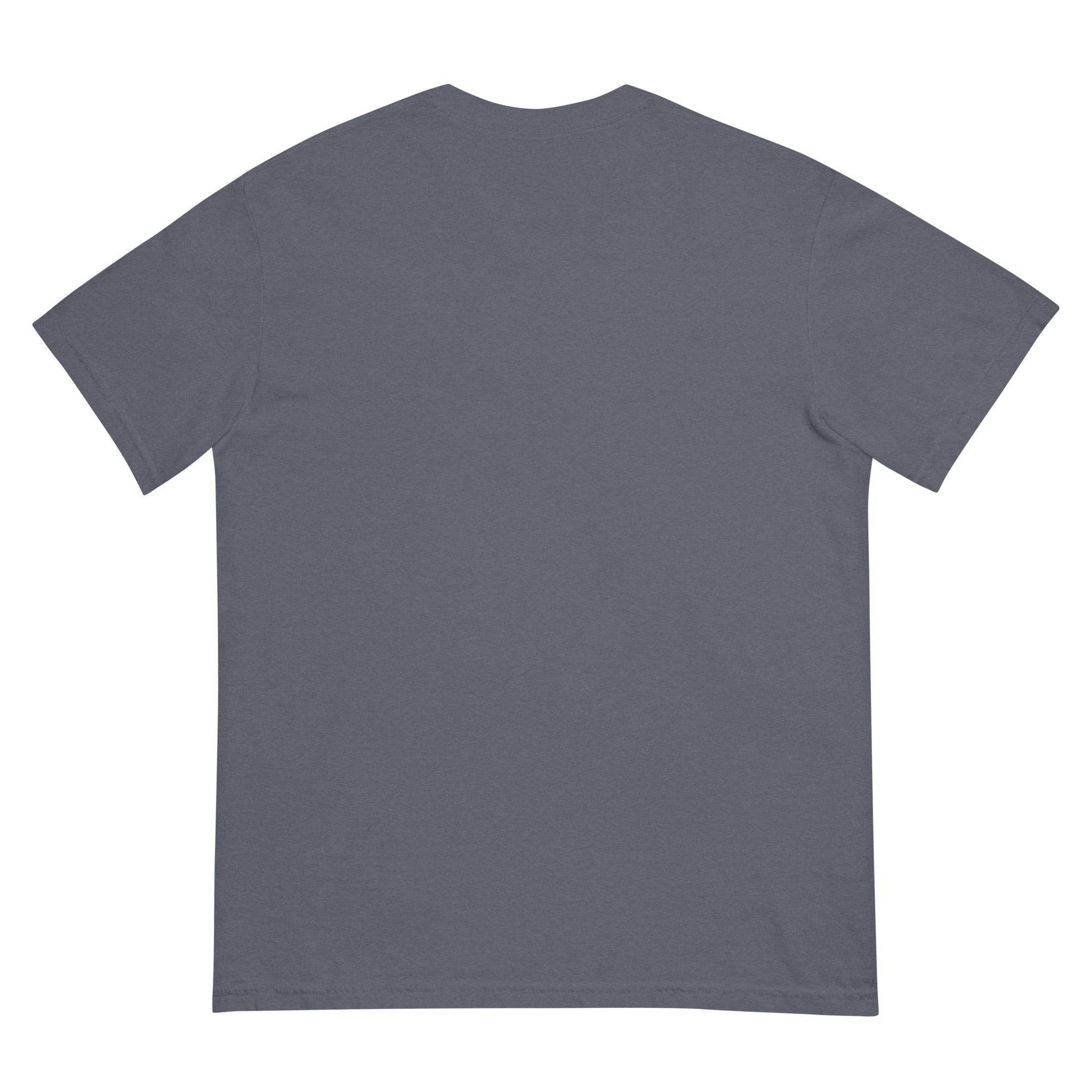 #PhysicalMedia Unisex garment-dyed heavyweight t-shirt - Rare Plus Apparel!