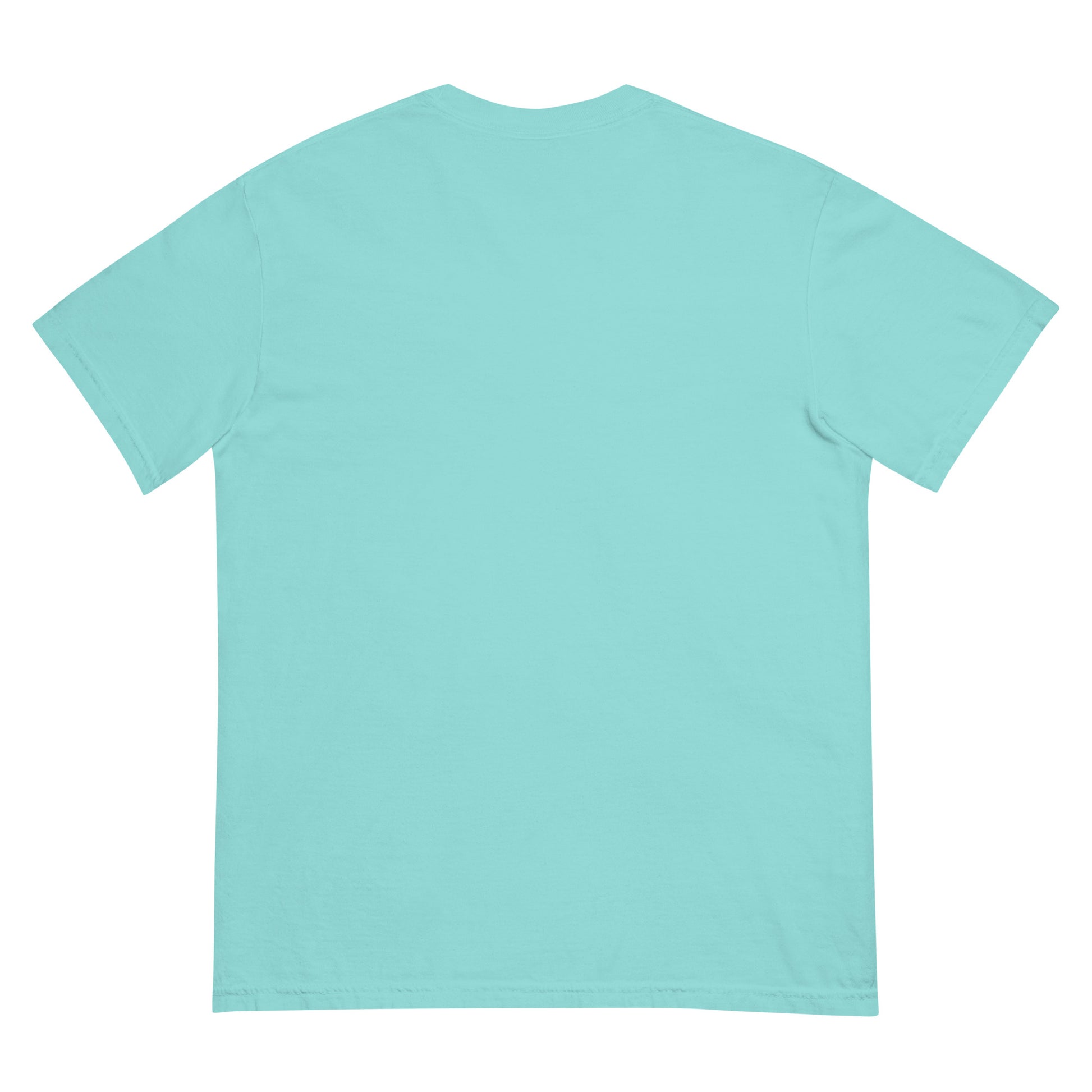 Physical Media Club Unisex garment-dyed heavyweight t-shirt  from Rare Plus Apparel – unique movie & pop culture inspired design.