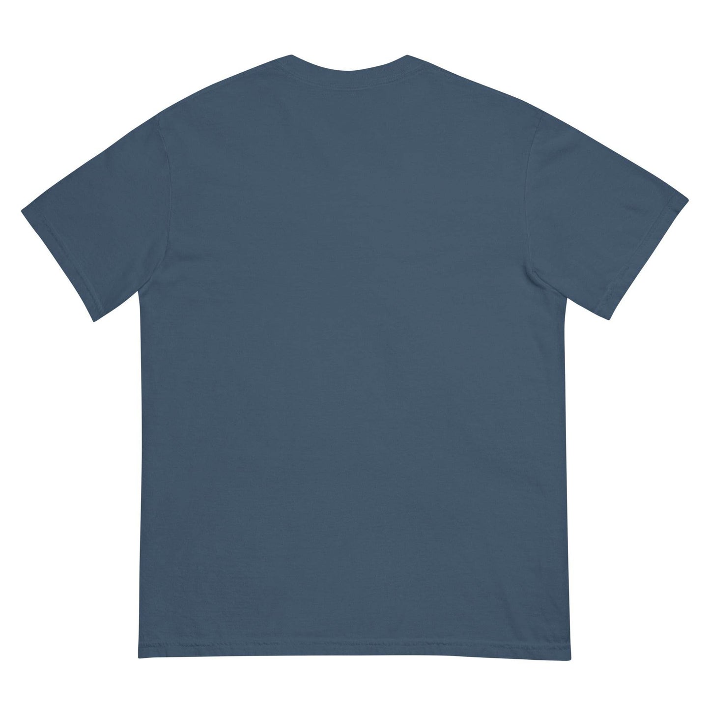#PhysicalMedia Unisex garment-dyed heavyweight t-shirt - Rare Plus Apparel!