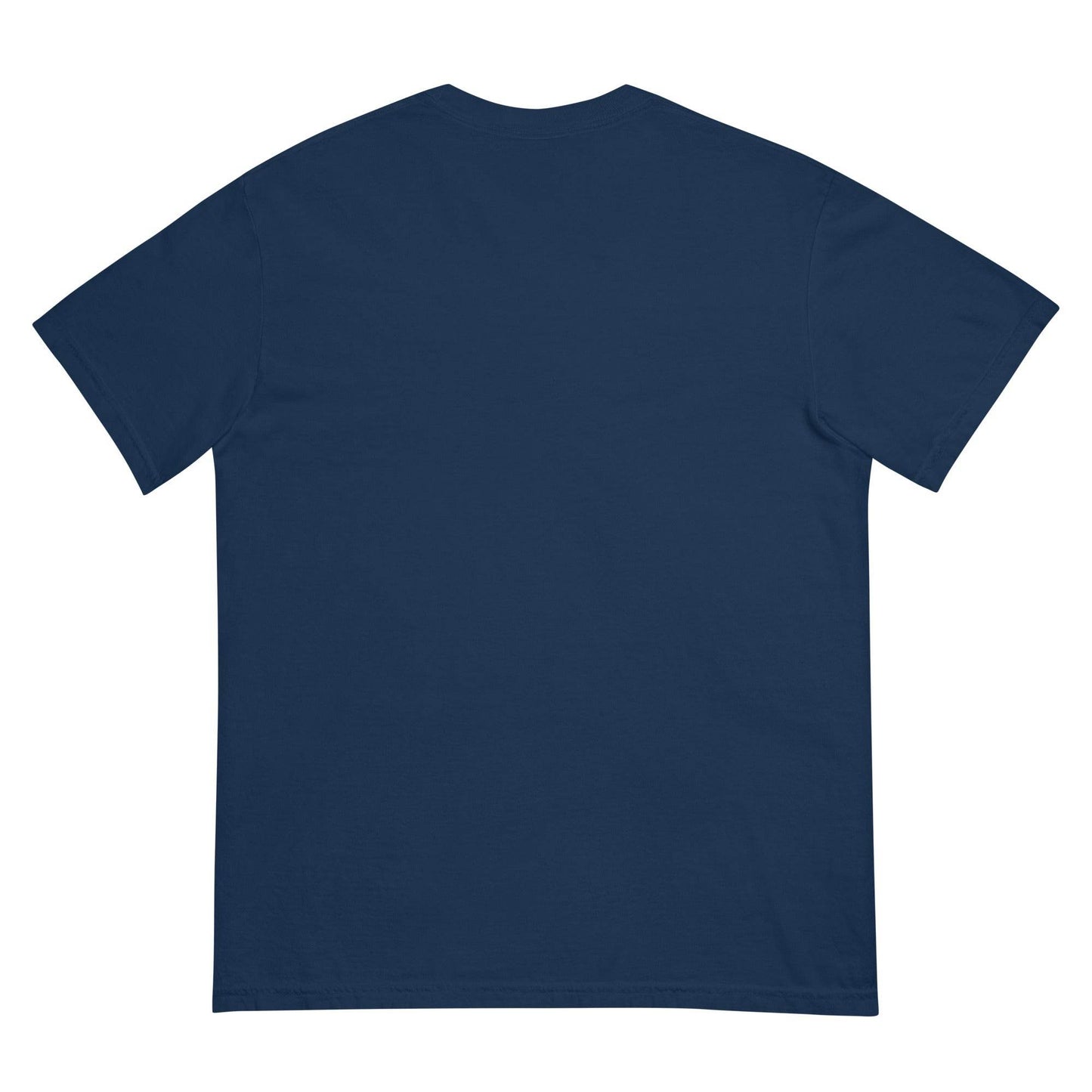 #PhysicalMedia Unisex garment-dyed heavyweight t-shirt - Rare Plus Apparel!