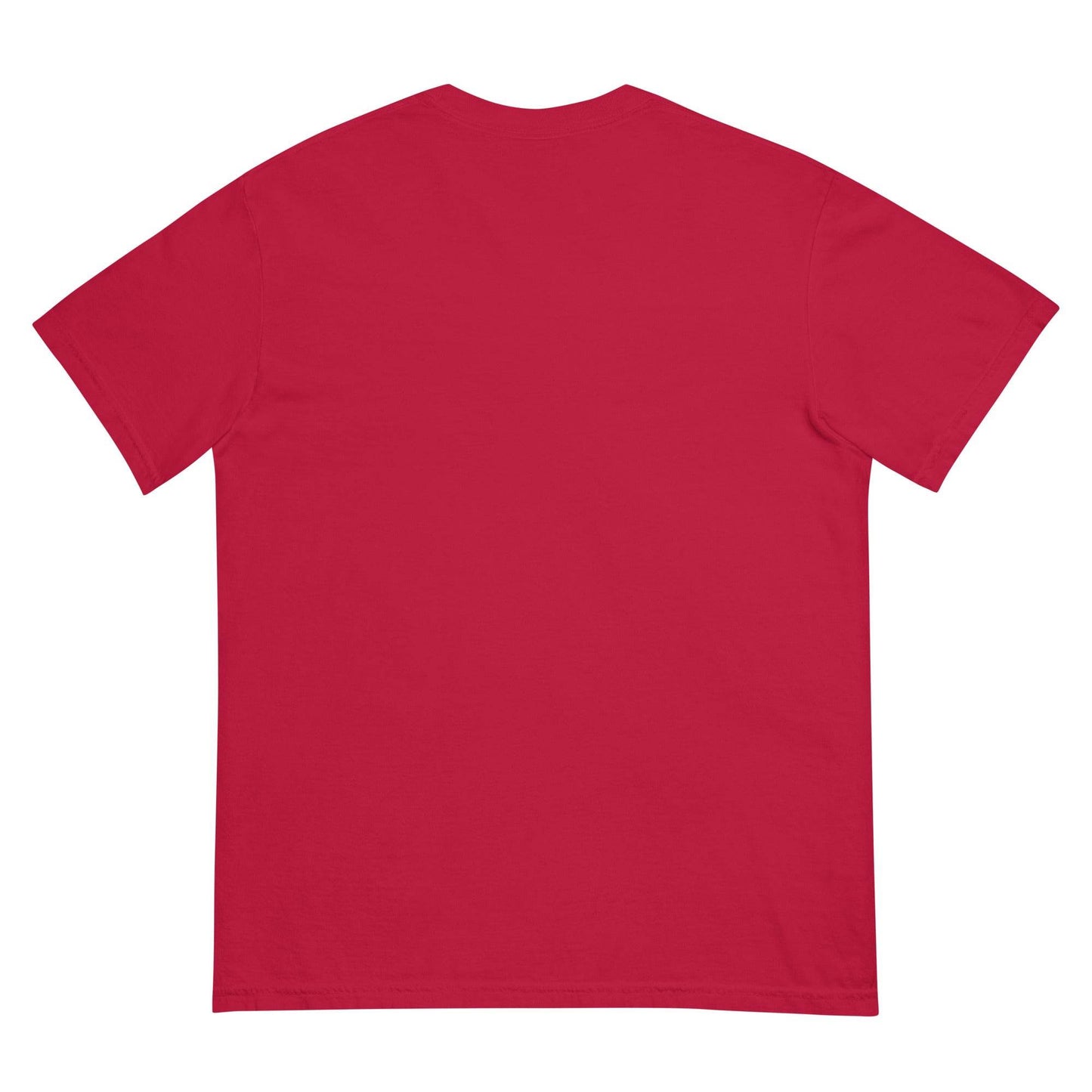 #PhysicalMedia Unisex garment-dyed heavyweight t-shirt - Rare Plus Apparel!