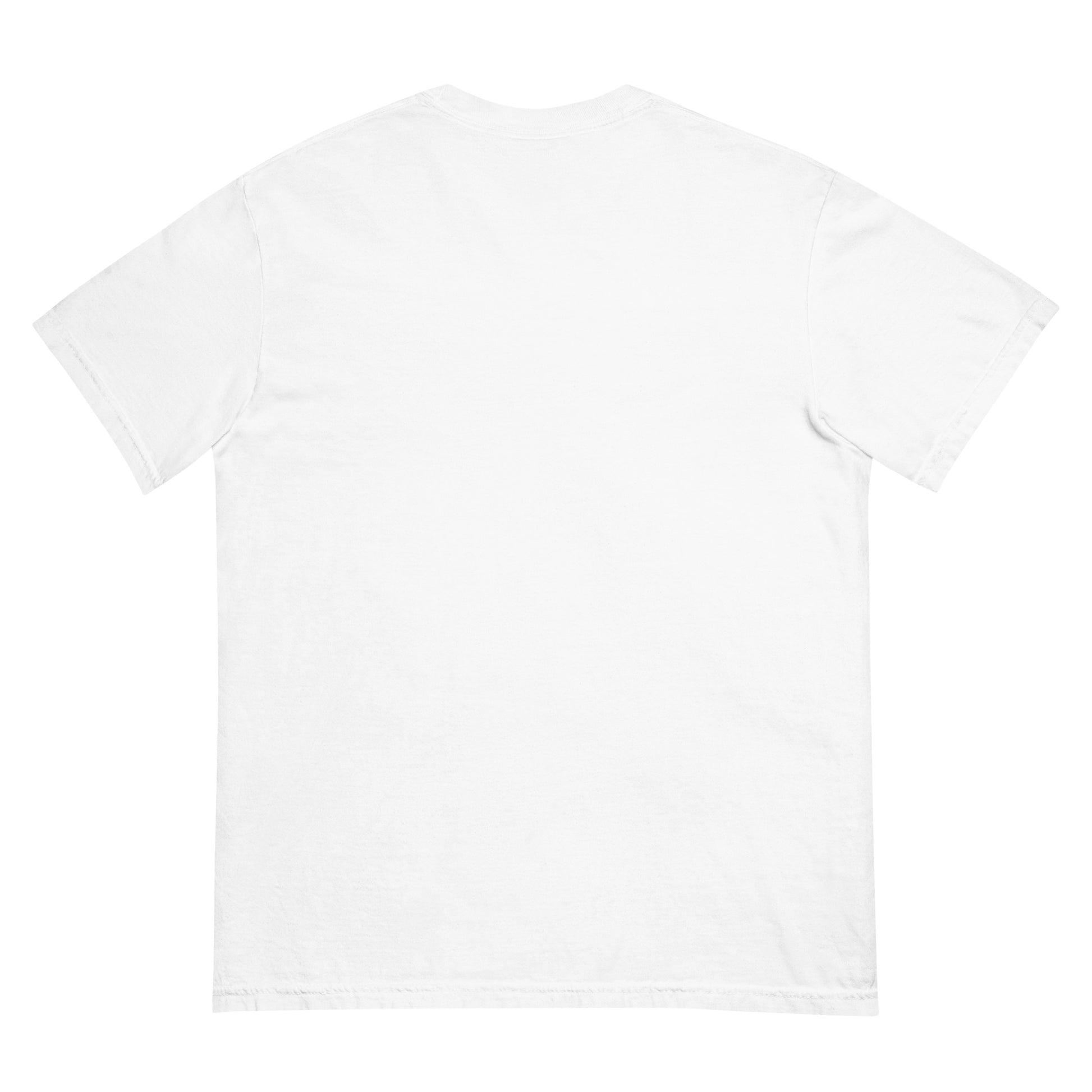 Demogorgon Records Unisex garment-dyed heavyweight t-shirt  from Rare Plus Apparel – unique movie & pop culture inspired design.