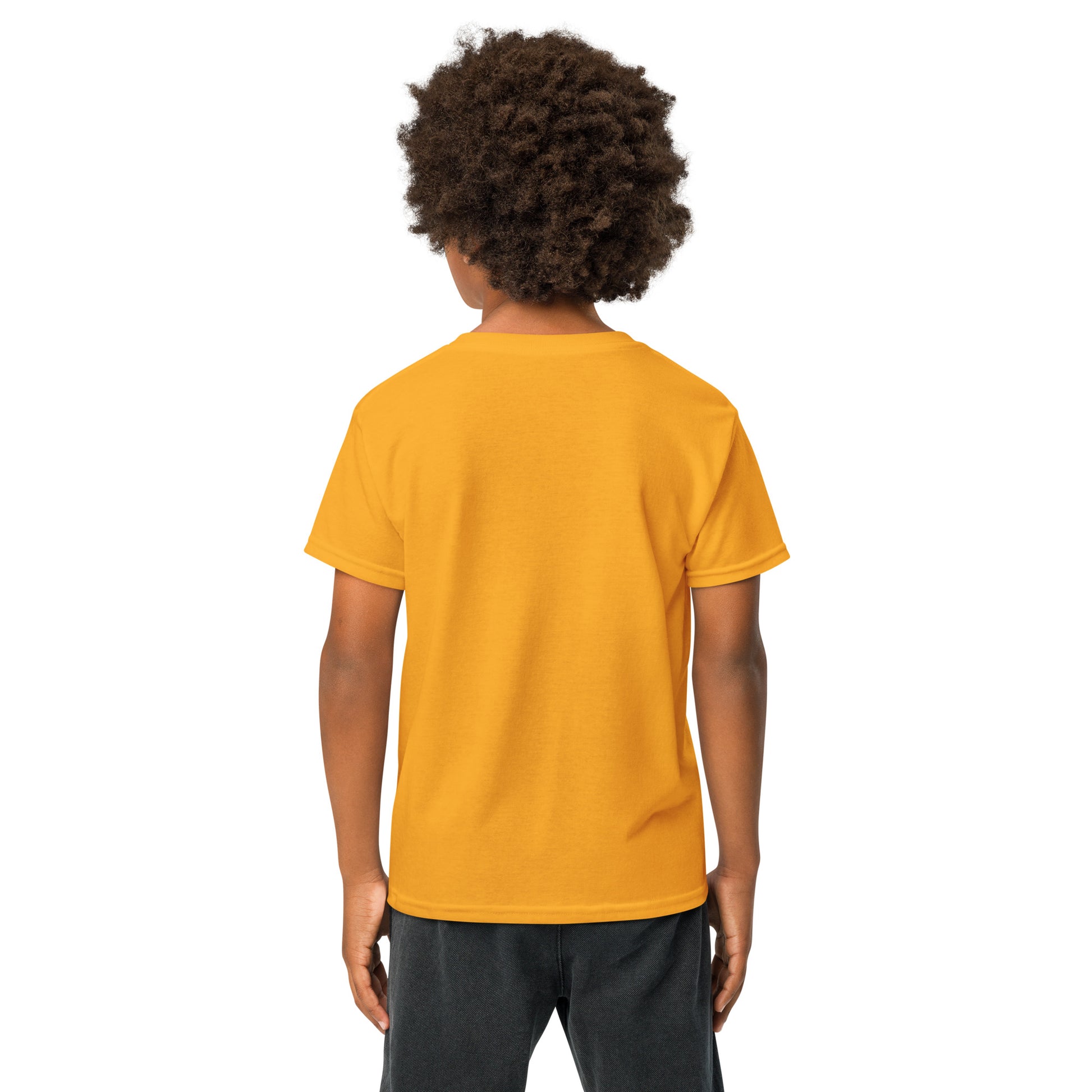 Not 51st State Mountie Youth t-shirt  from Rare Plus Apparel – unique movie & pop culture inspired design.