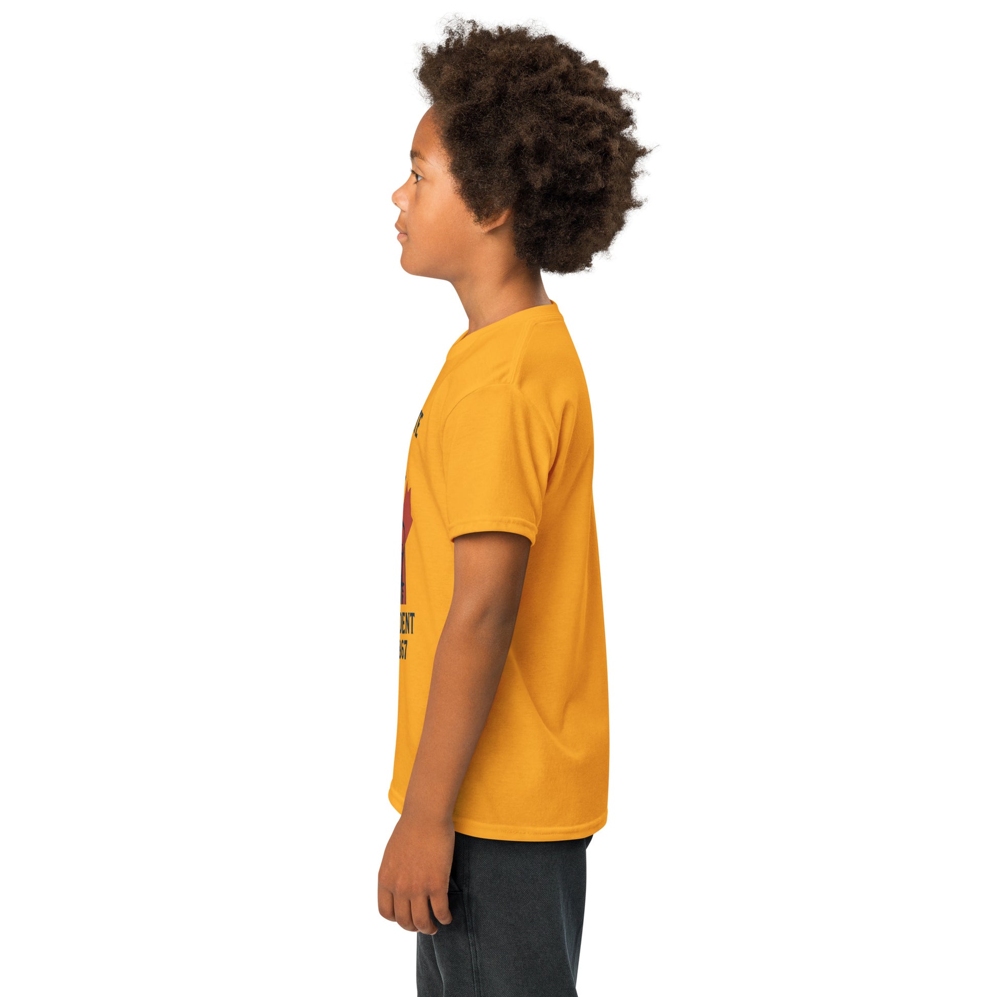 Not 51st State Mountie Youth t-shirt  from Rare Plus Apparel – unique movie & pop culture inspired design.