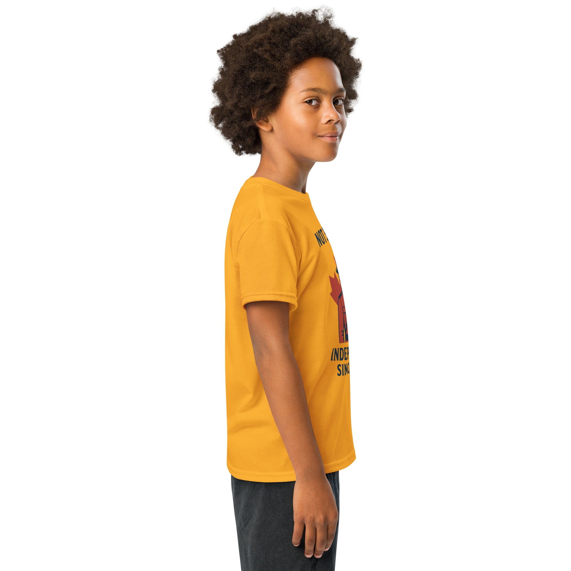 Not 51st State Mountie Youth t-shirt  from Rare Plus Apparel – unique movie & pop culture inspired design.