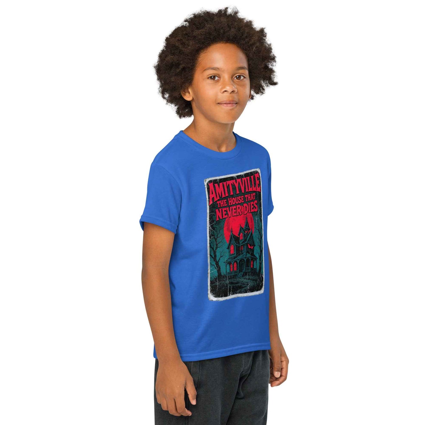 Amityville — The House That Never Dies Youth t-shirt
